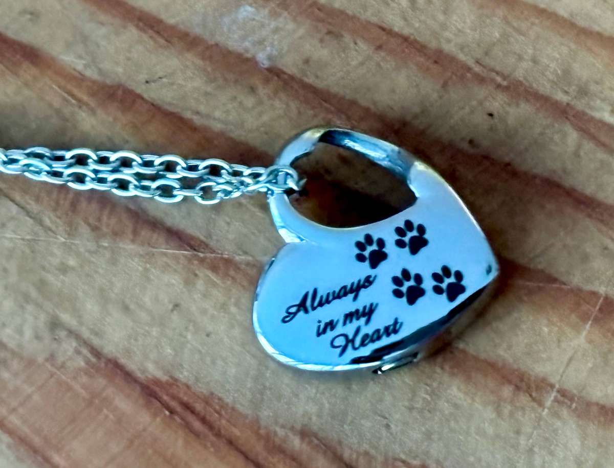 Keepsake urn pendant. Always in my heart pet. Stainless steel.