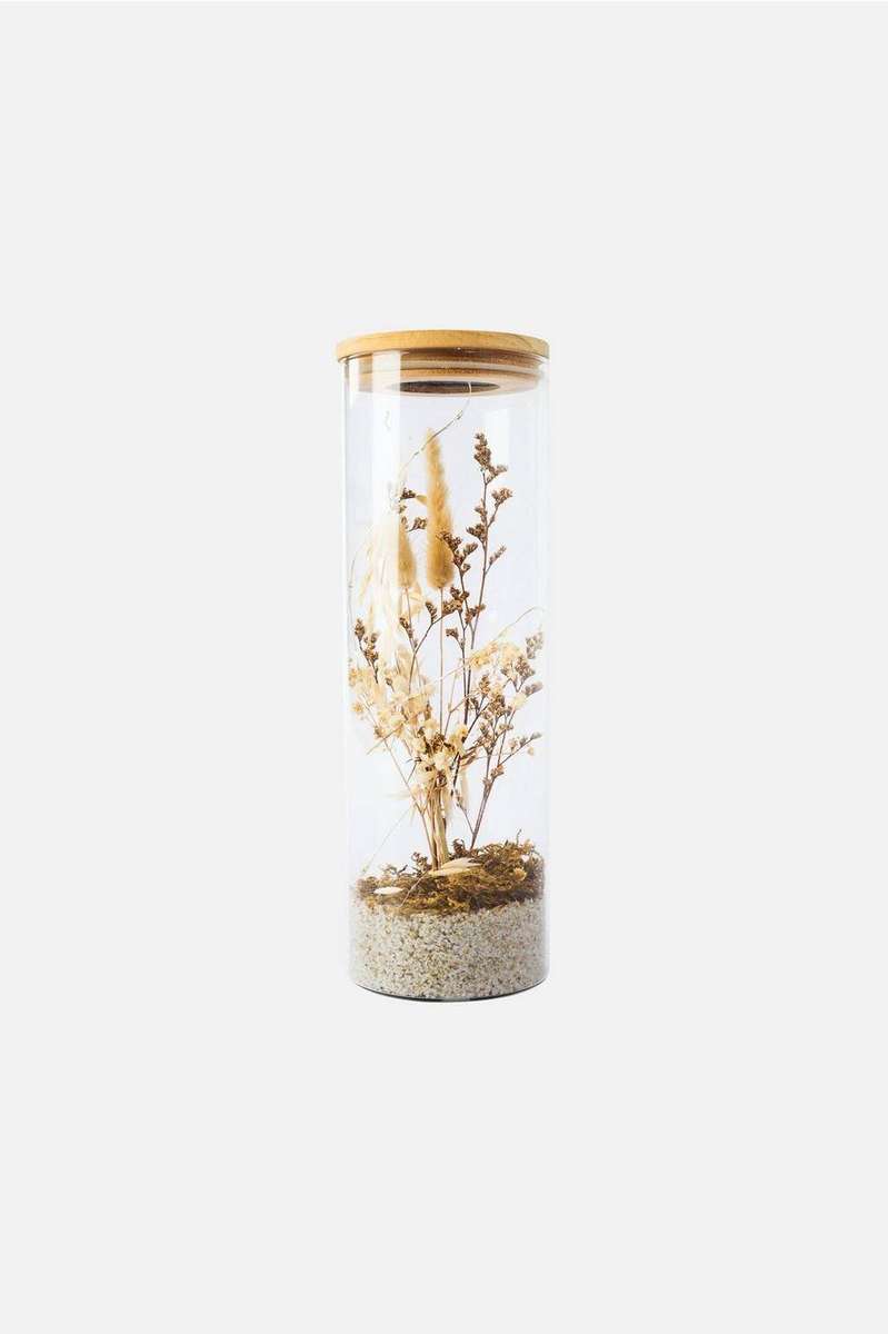 Cylinder Tube Dried Plant