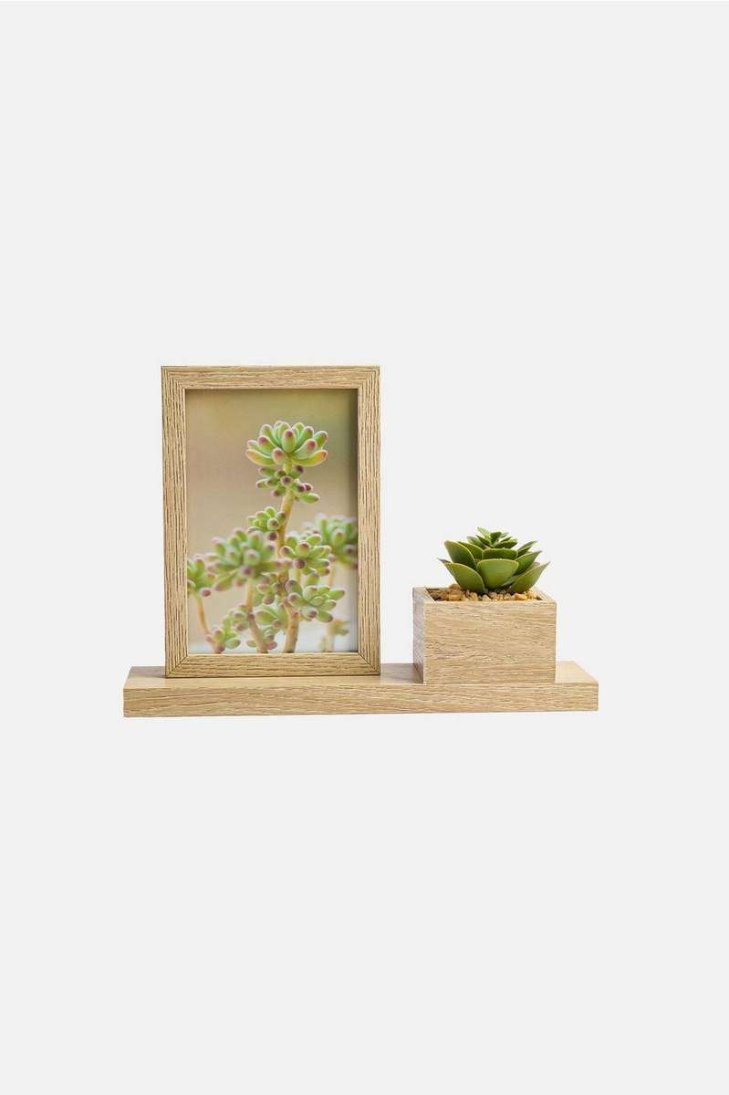 Photo frame and faux succulent