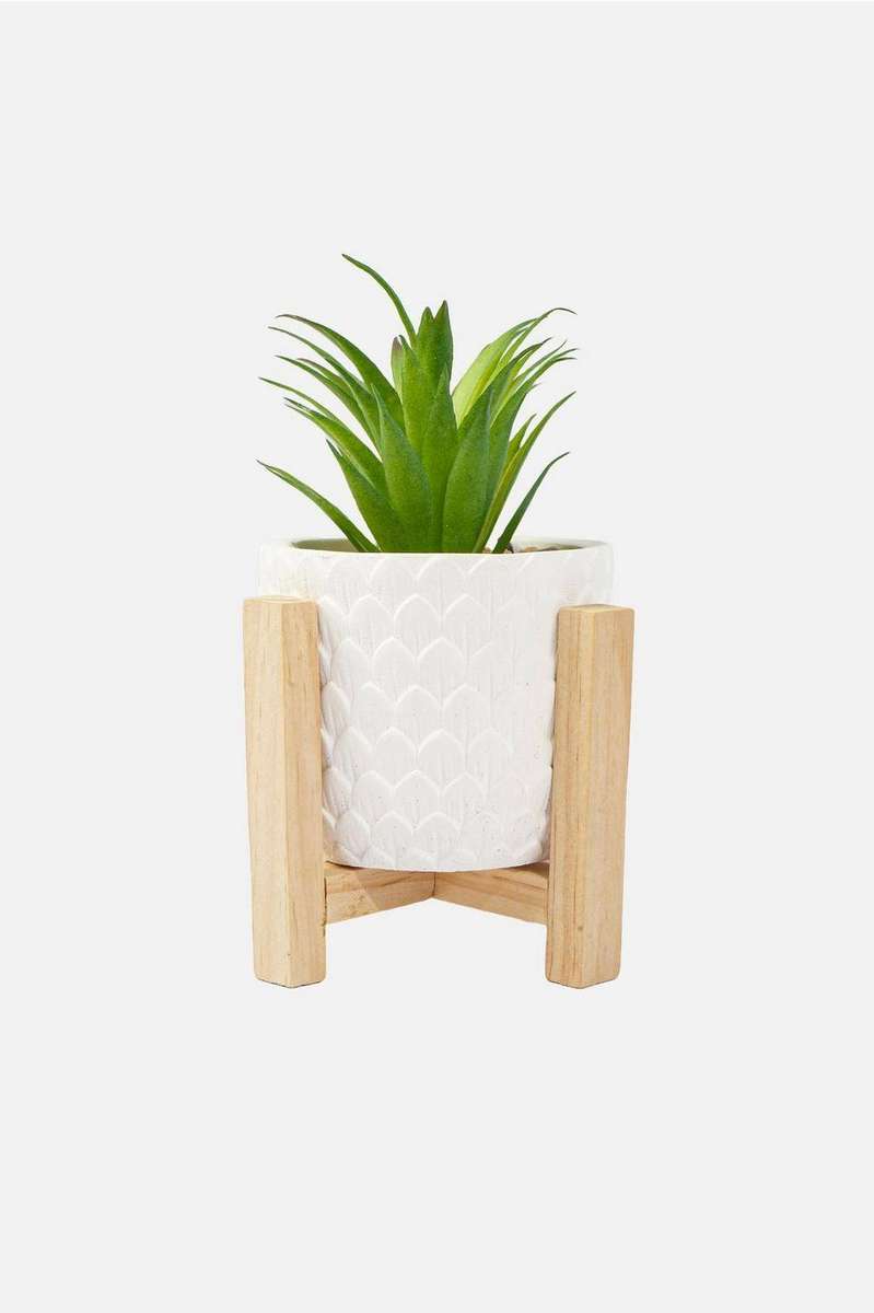 Lotus on legs faux succulent