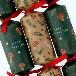 Kraft Eco Christmas Crackers 37cm 8 Piece