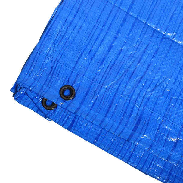 Light-Duty Tarpaulin  5 x 6 M (60GSM)