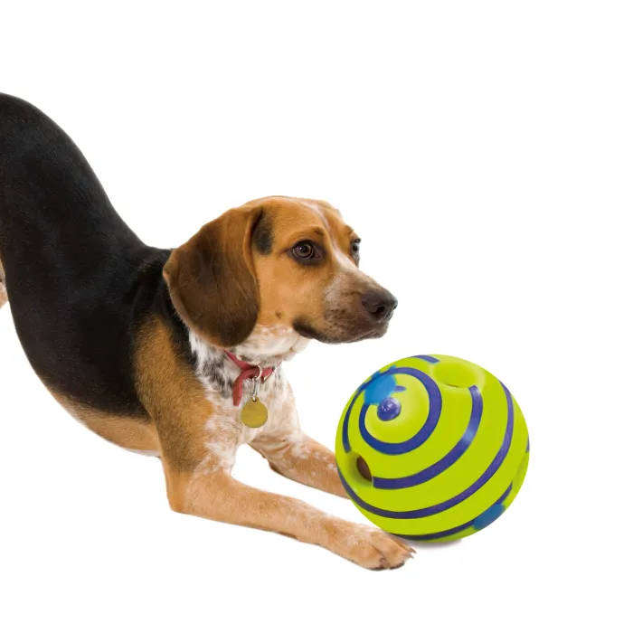 Interactive Giggle Ball Dog Toy