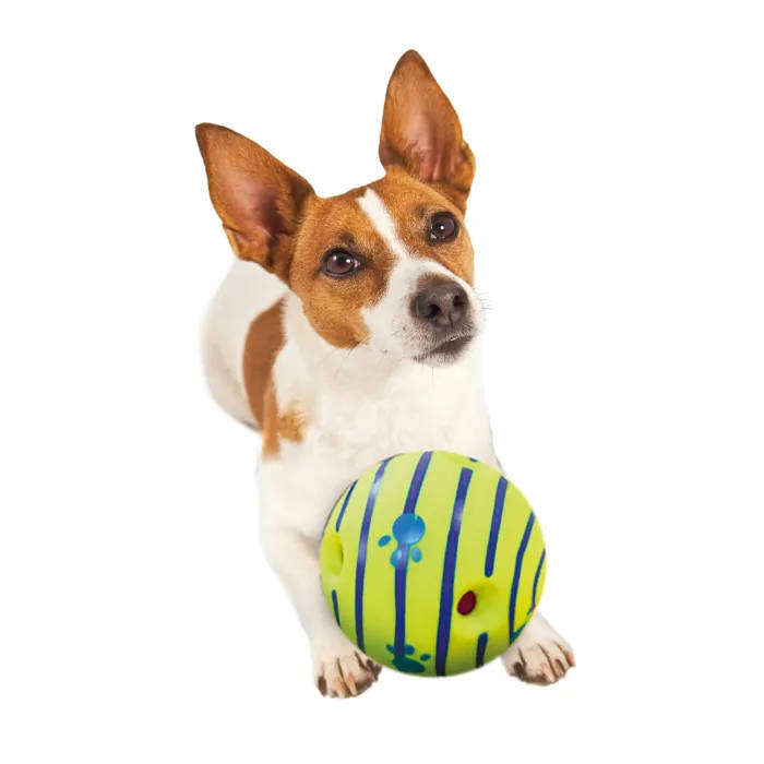 Interactive Giggle Ball Dog Toy