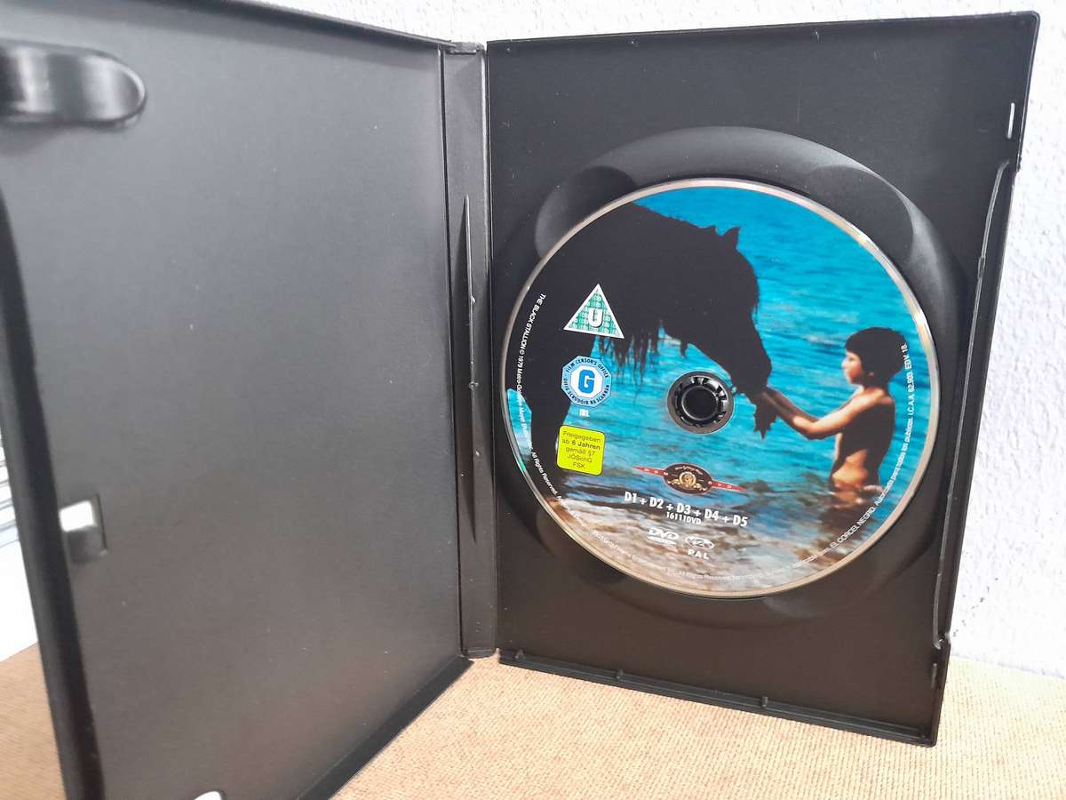 The Black Stallion - Mickey Rooney & Terry Garr (DVD)