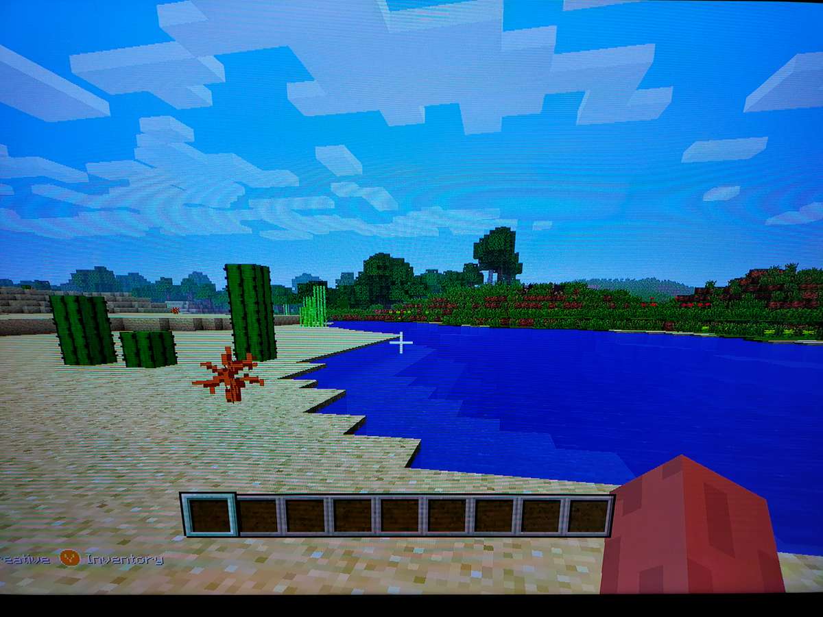 Minecraft XBOX 360