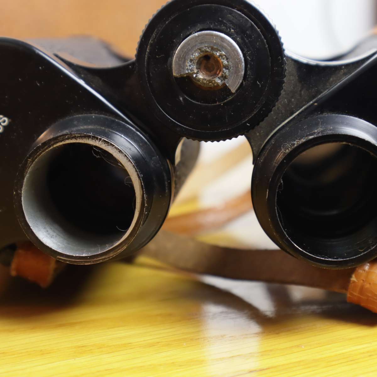 Nippon Coated Optics 12x50 Binoculars