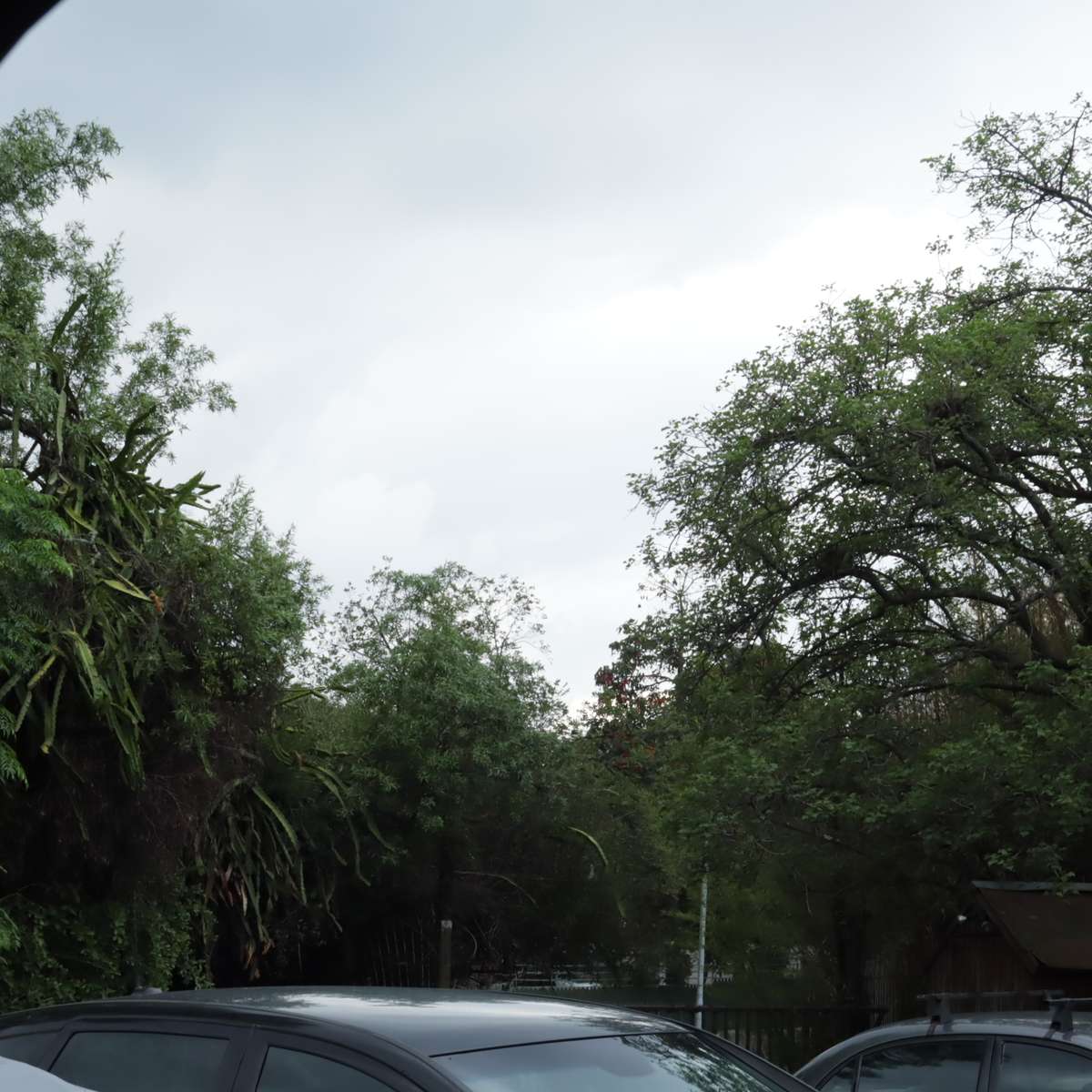 Canon EF-S Lens 18-55mm f3.5-5.5 II