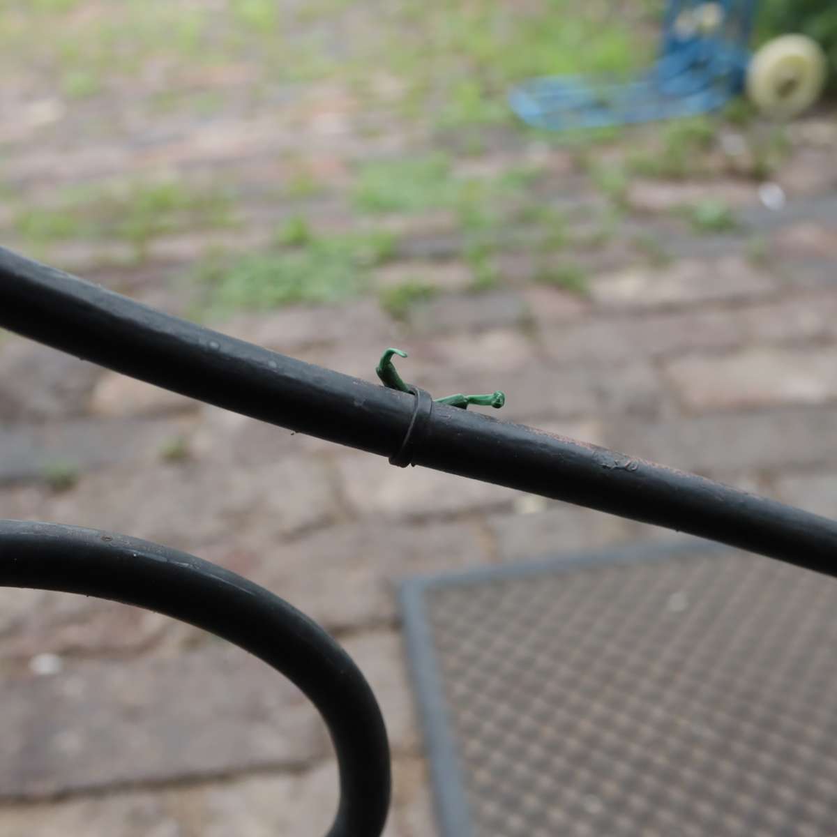 Canon EF-S Lens 18-55mm f3.5-5.5 II