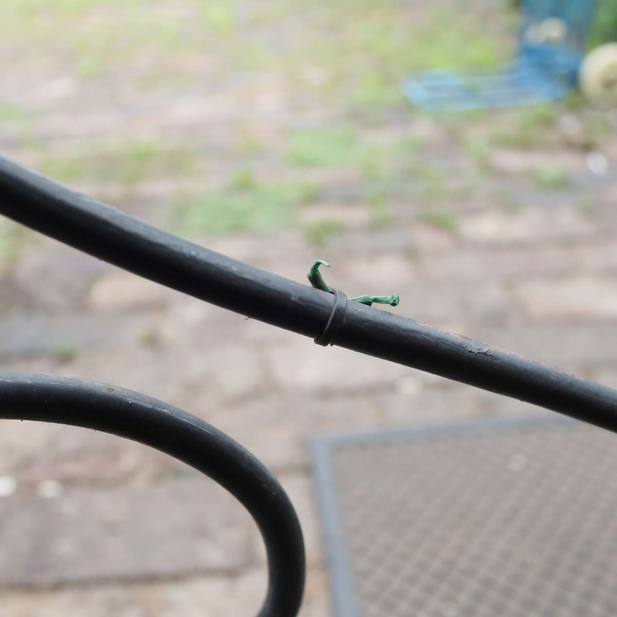 Canon EF-S Lens 18-55mm f3.5-5.5 II