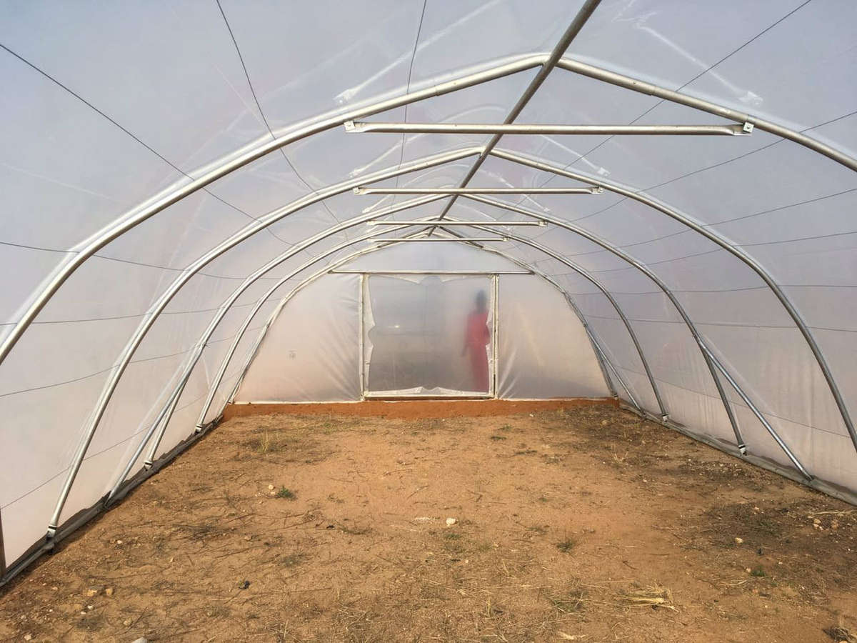 Greenhouse Tunnel 12m x 6m (incl Plastic & Install Gauteng)