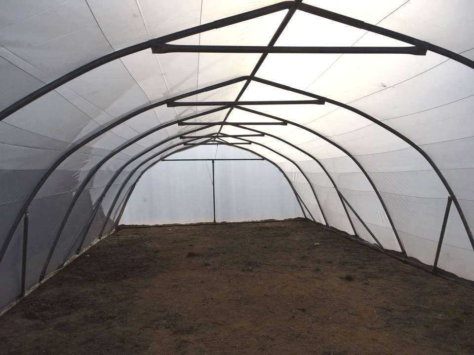 Greenhouse Tunnel 12m x 6m (incl Plastic & Install Gauteng)