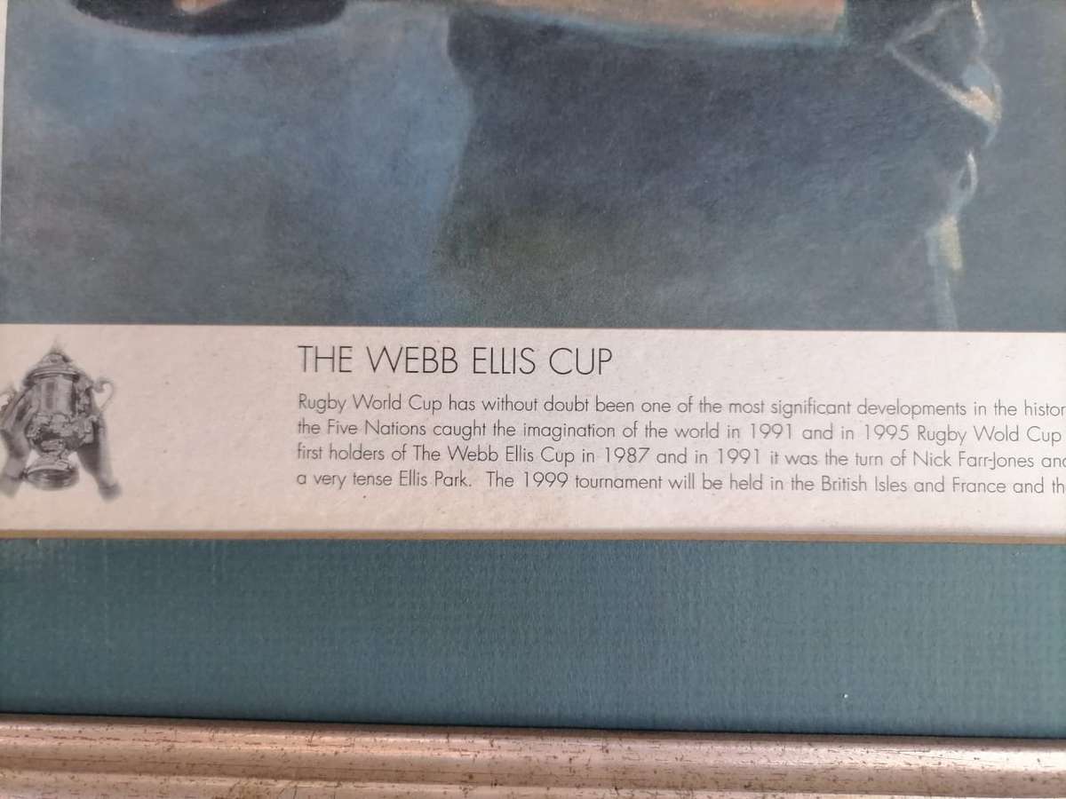 The Web Ellis  Cup winners