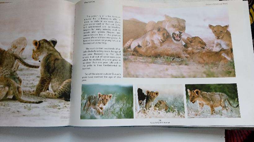 Ousus Lady of the Kalahari