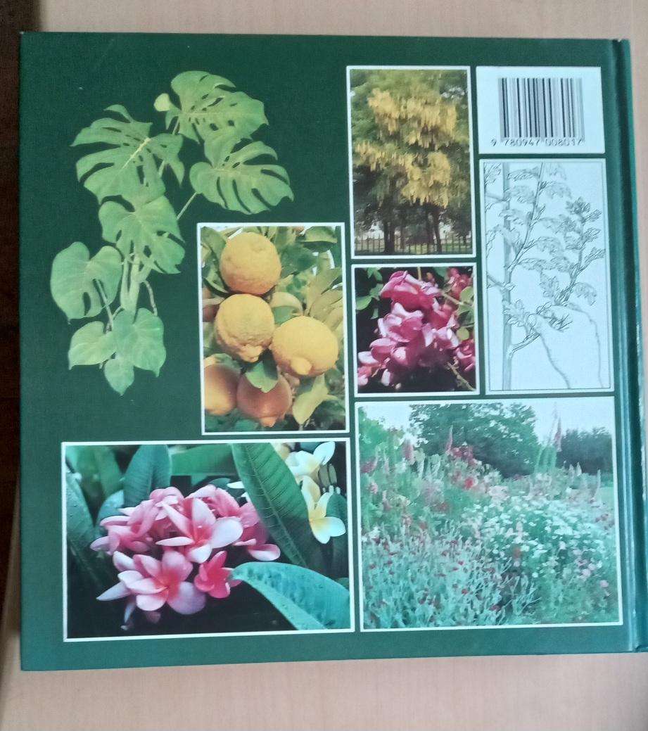 Illustrated Encyclopaedia of Gardening in South Africa  Readers Digest