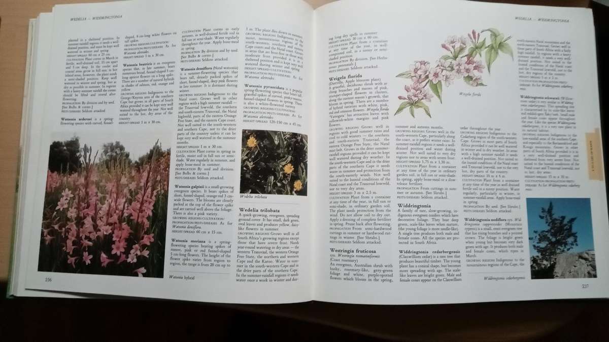 Illustrated Encyclopaedia of Gardening in South Africa  Readers Digest