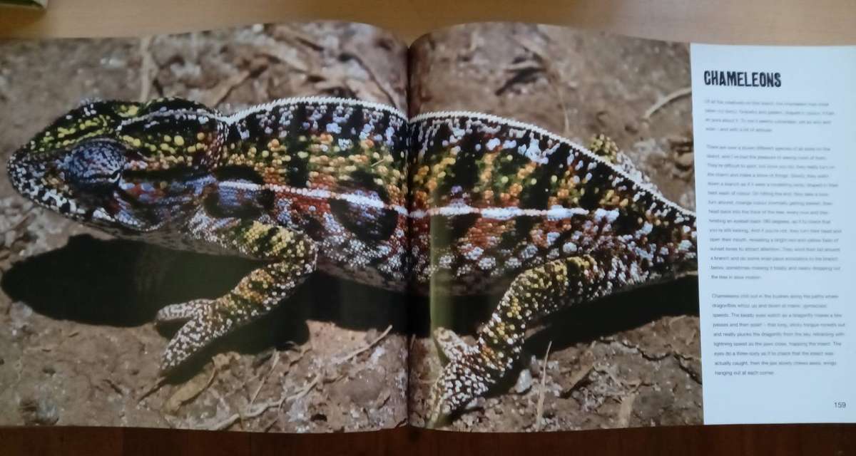 Burnt Vanilla : A Paddle to and a journey Through Madagascar by -David Grier[SIGNED]