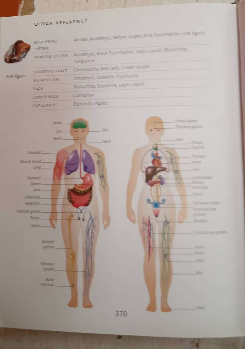 Crystal Bible Volume 1 - Judy Hall