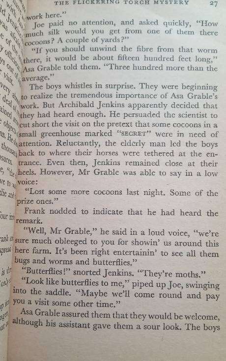 The Flickering Torch Mystery - Franklin W. Dixon(The Hardy Boys)