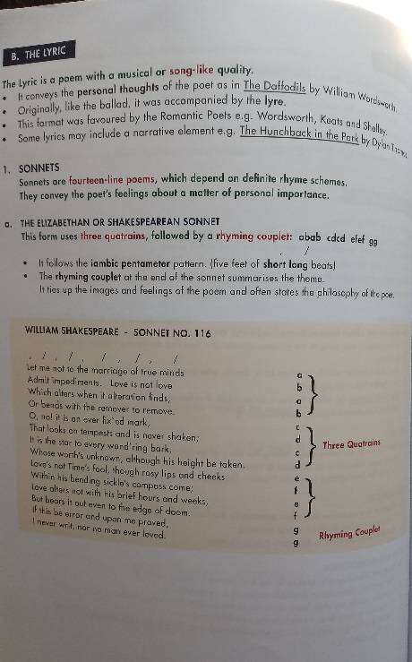English Handbook and Study Guide: A Comprehensive English Reference Book- 2020
