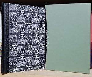 The Adventures of Huckleberry Finn - Mark Twain- 1993