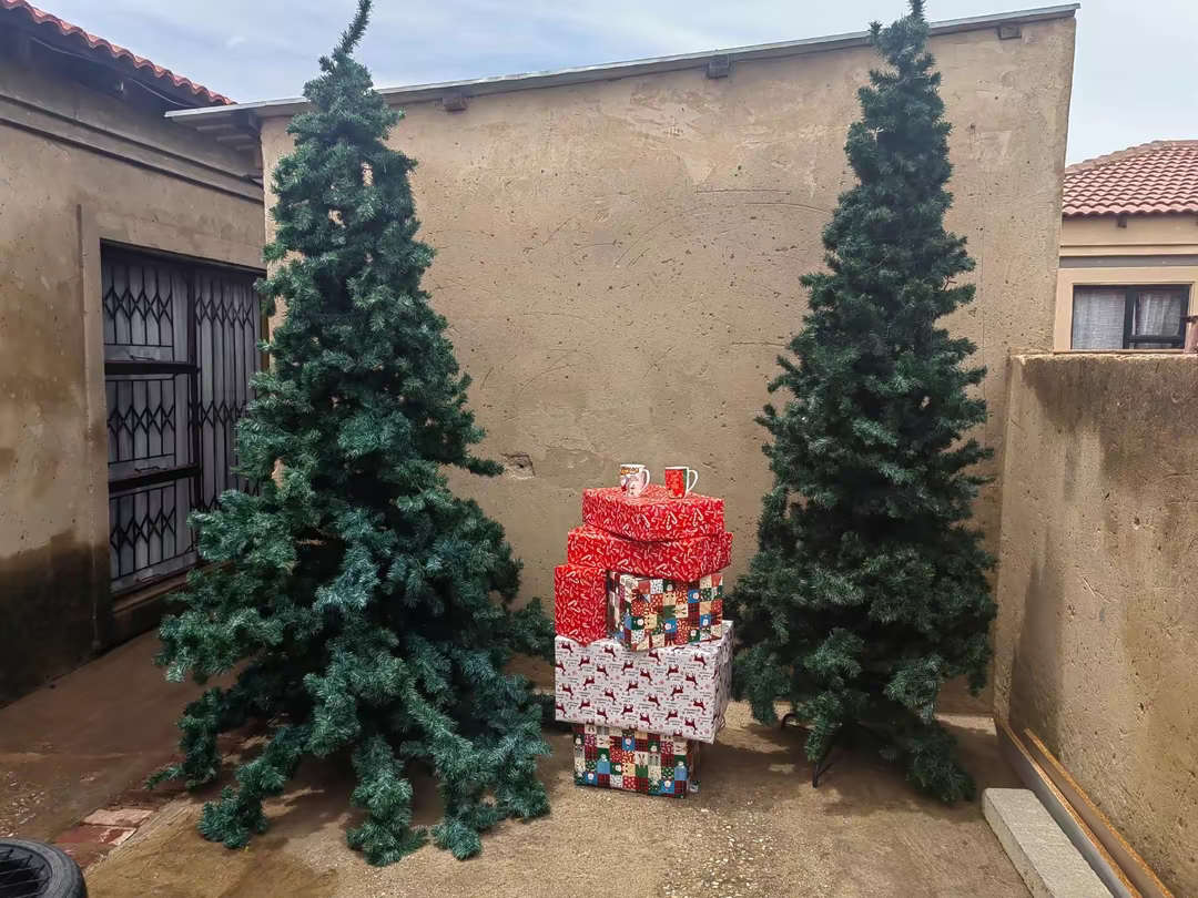 Xmas tree