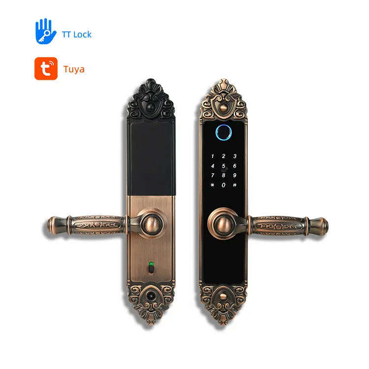 Vintage Smart Wifi Door lock