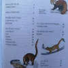 Ultimate Wildlife  1,2 And 3 With DVDs