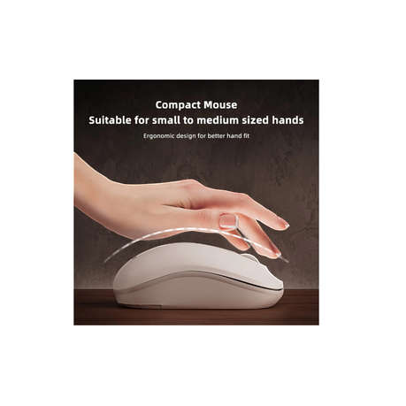 LENOVO LECOO - KW211 - Wireless Quiet Ergonomic Keyboard & Mouse - White