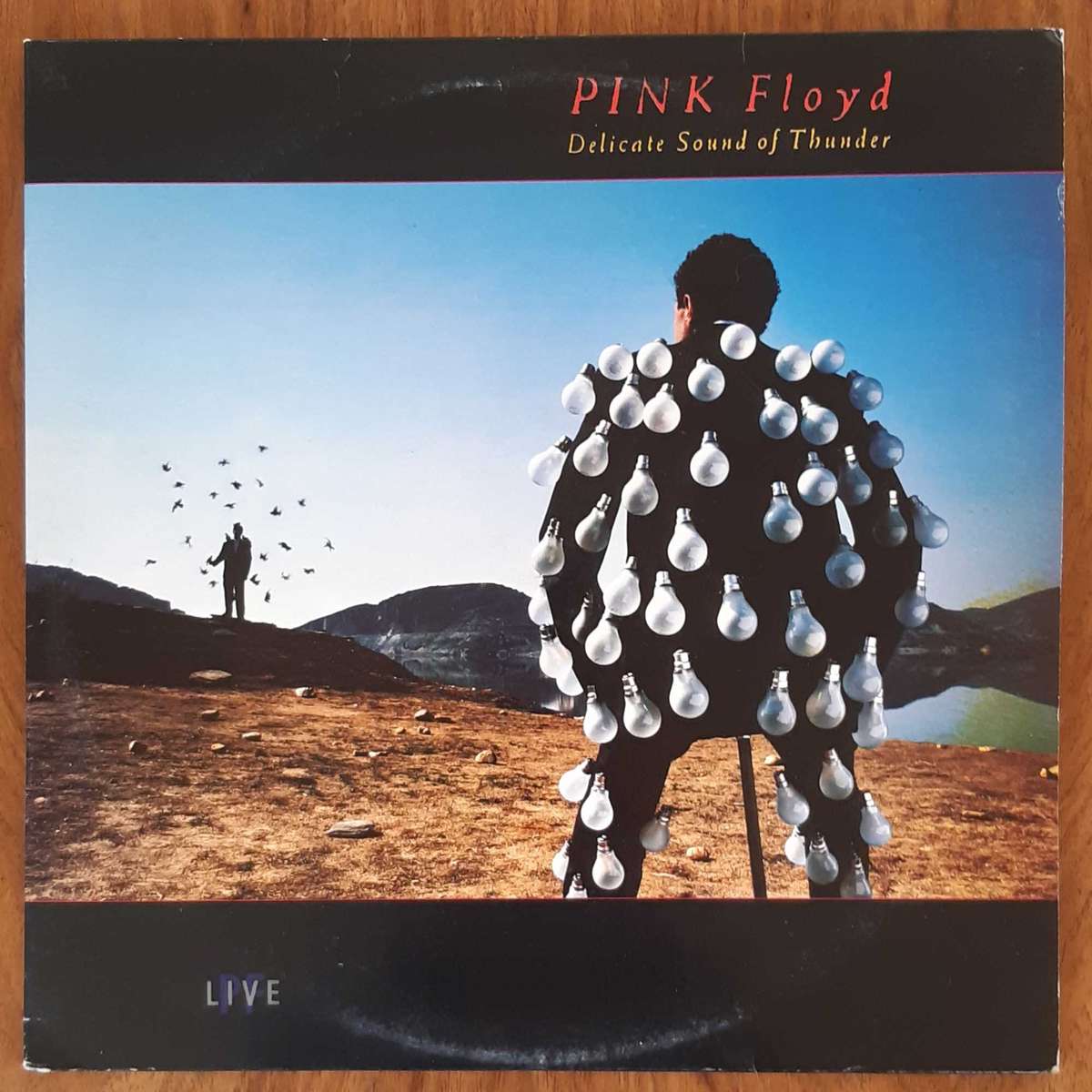 Pink Floyd - Delicate Sound of Thunder - Double Album - Vinyl LP