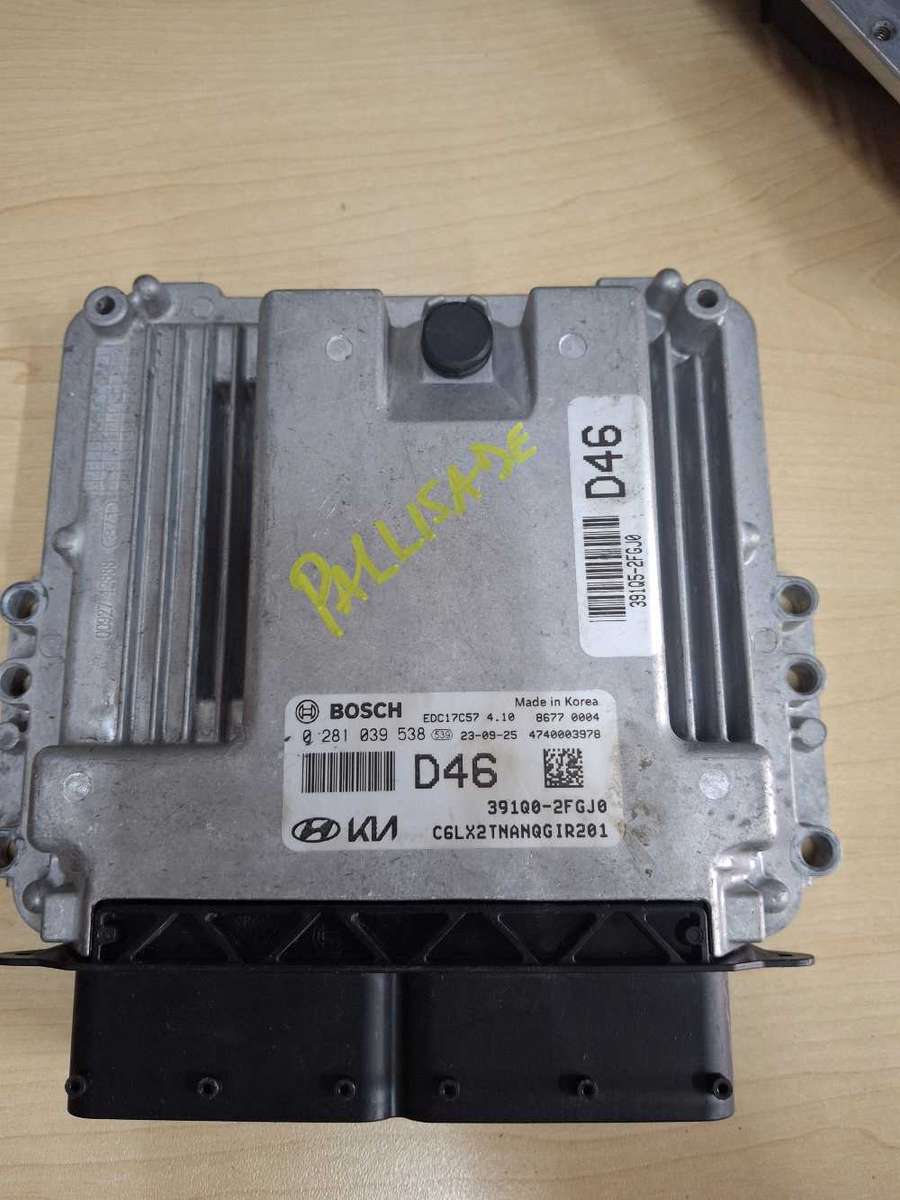 Hyundai Palisade computer box ecu