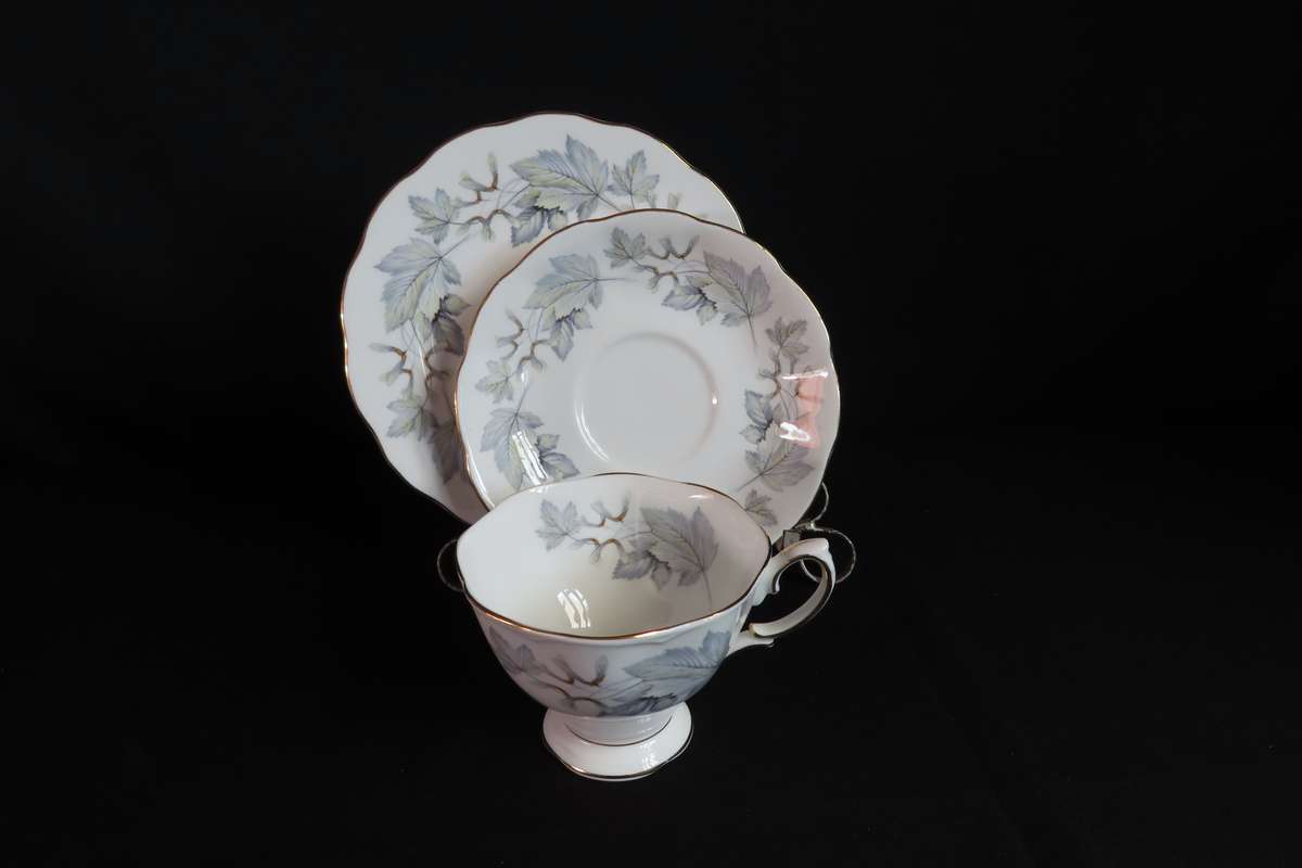 Royal Maple Silver Maple Te Trio.