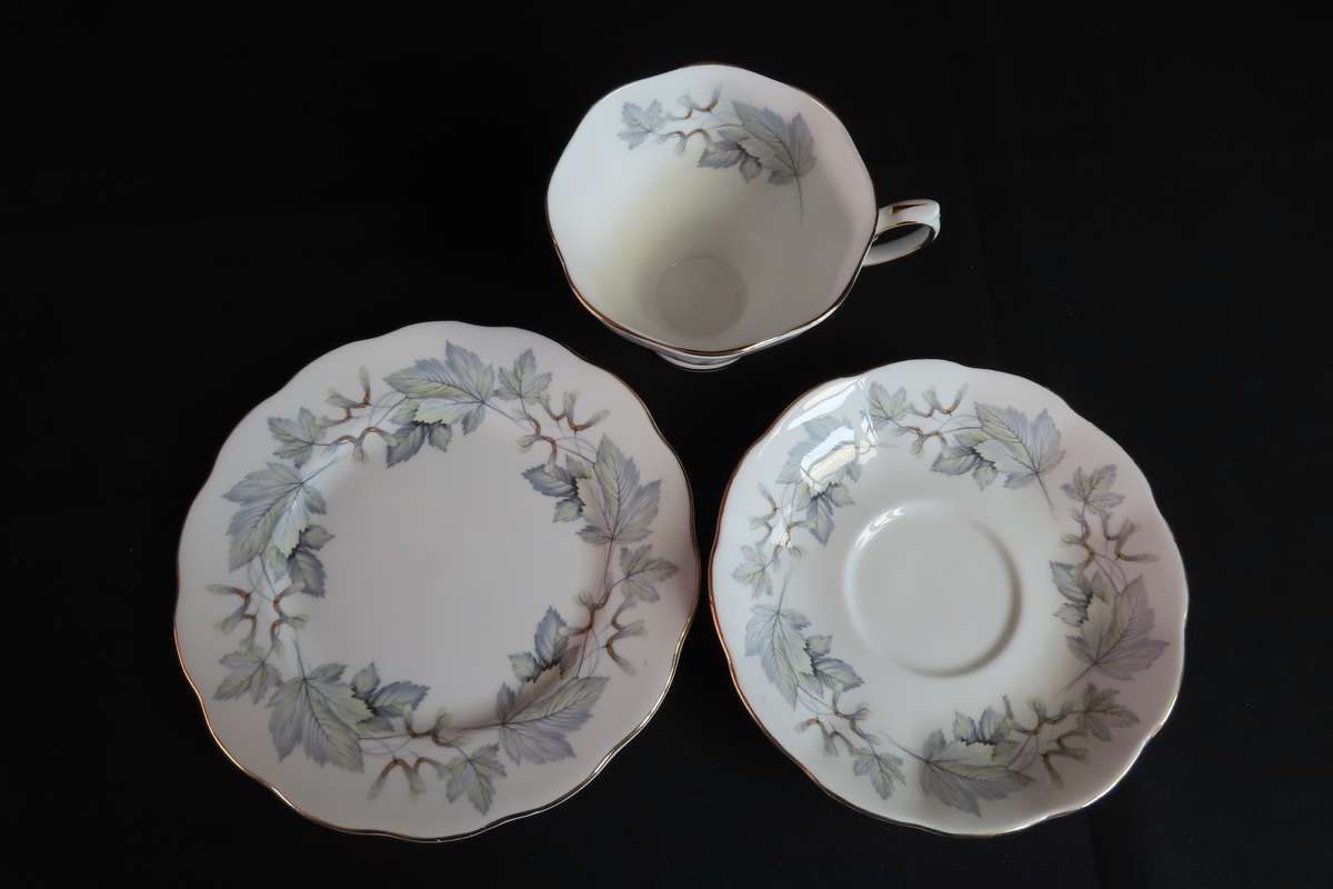 Royal Maple Silver Maple Te Trio.