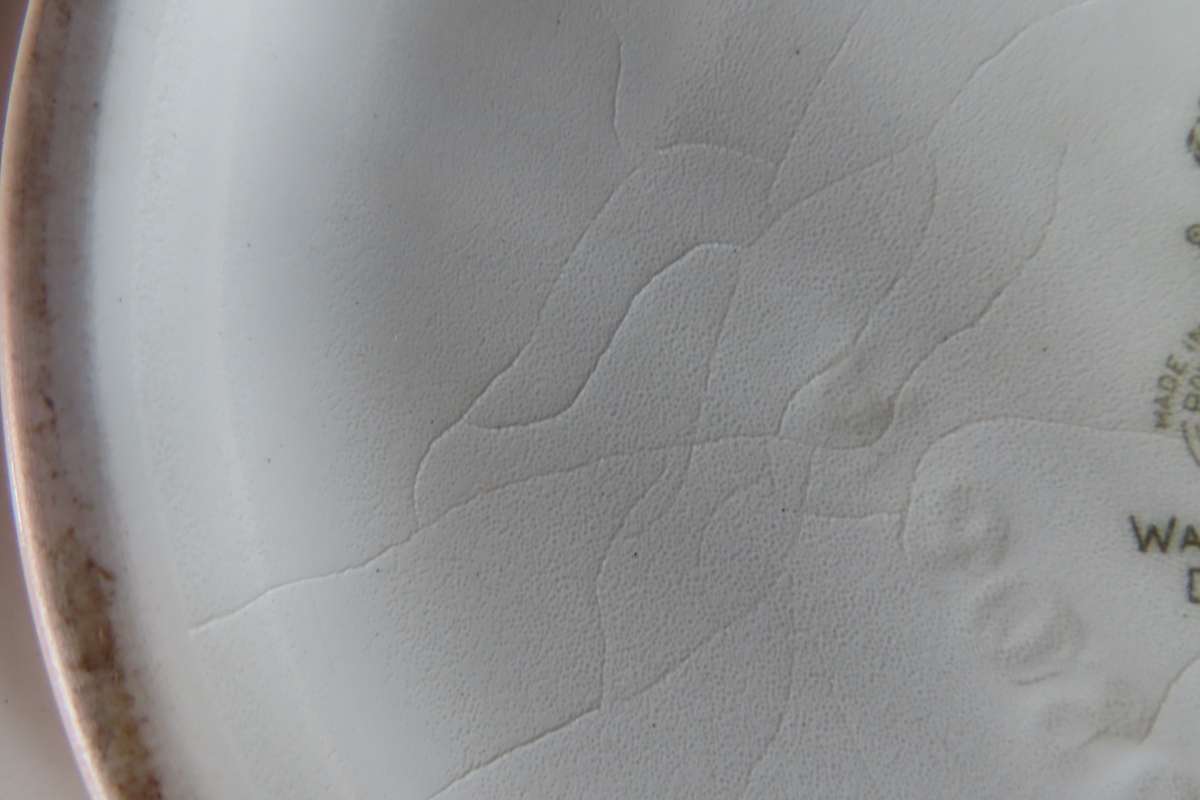 Royal Doulton "Water Lily" D6343 Fruit Bowl