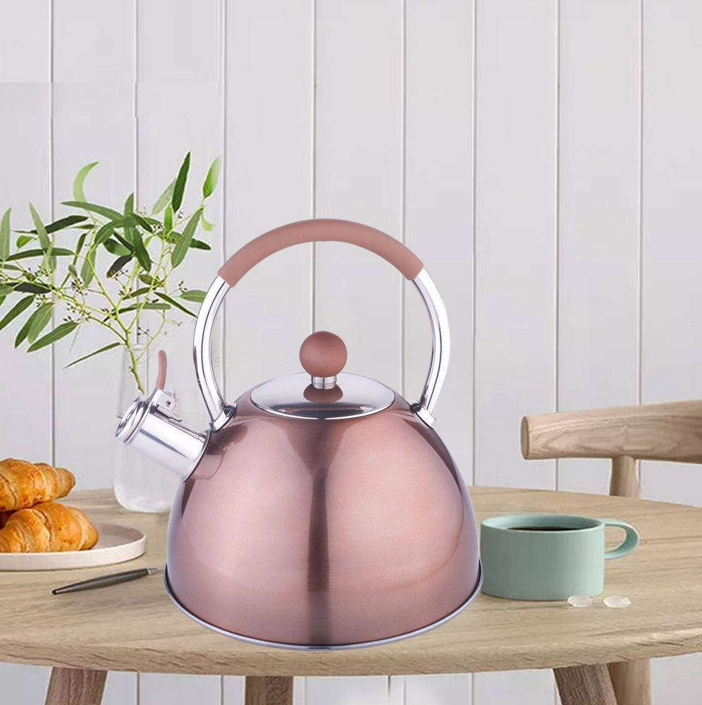 Unique Color Stainless Steel Kitchen Whistle Stove Top Kettle - 3Ltr - Cappuccino