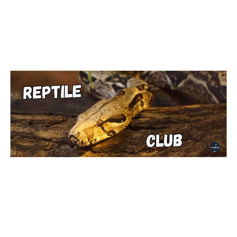 Reptile Cage Sign - "Reptile Club"
