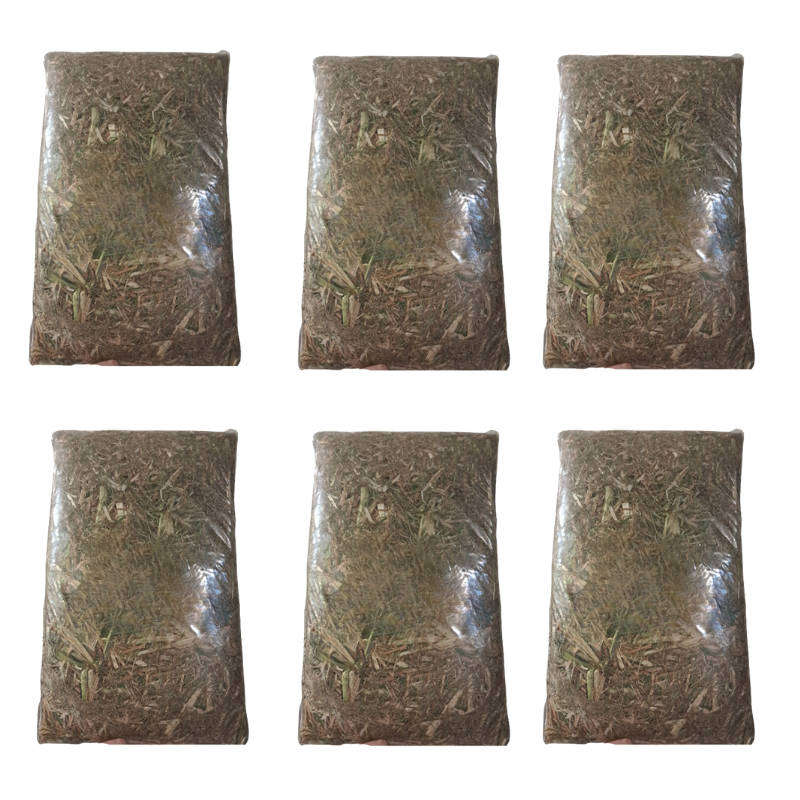 Oats Hay Compressed Block-6 Pack