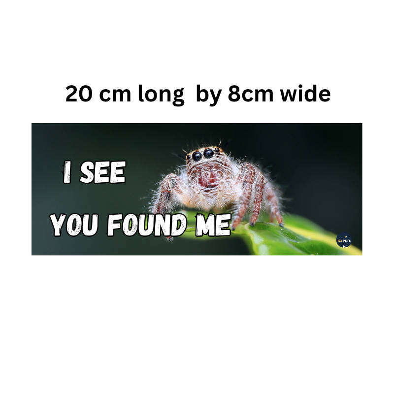 Reptile Cage Sign - "I See you Found Me"