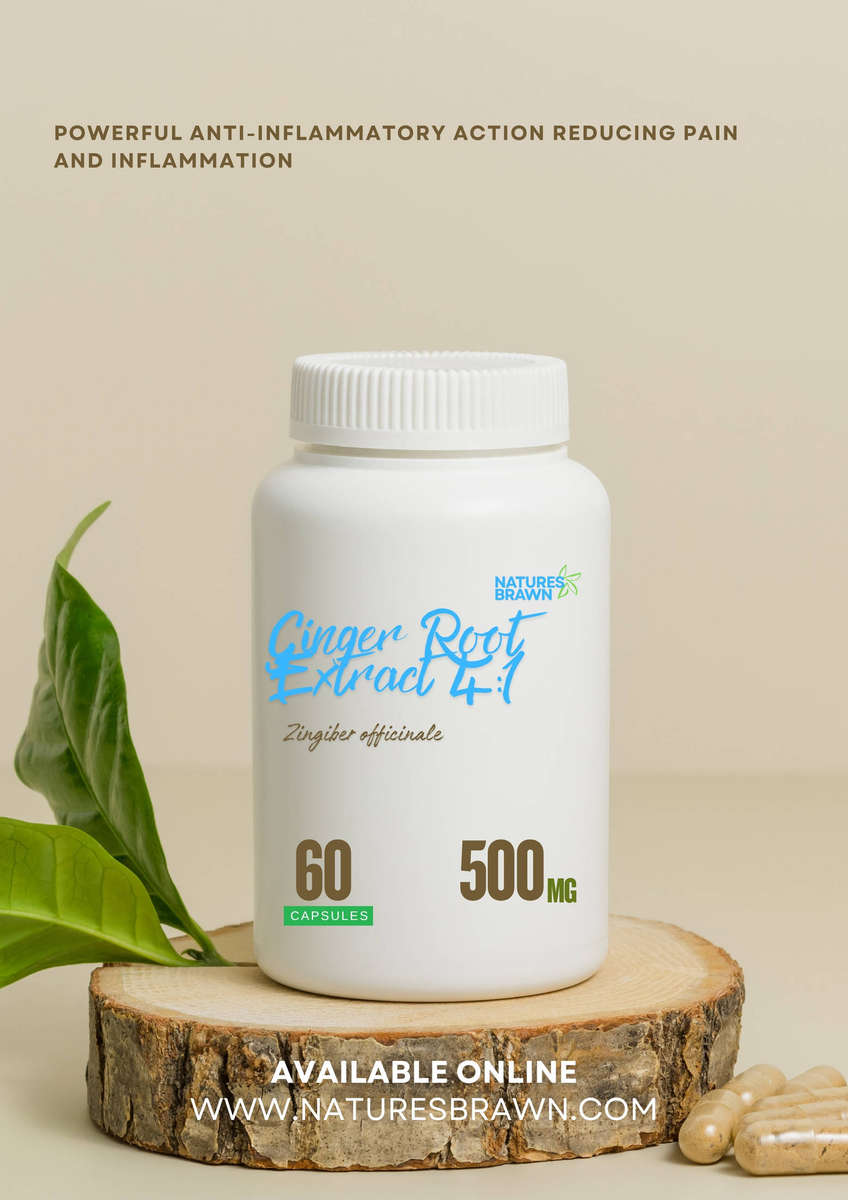 Ginger Root Extract 4:1