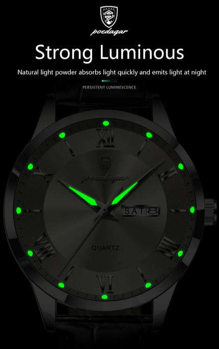 POEDAGAR Quartz Watch with Day and Date Calendar - Black Leather Strap