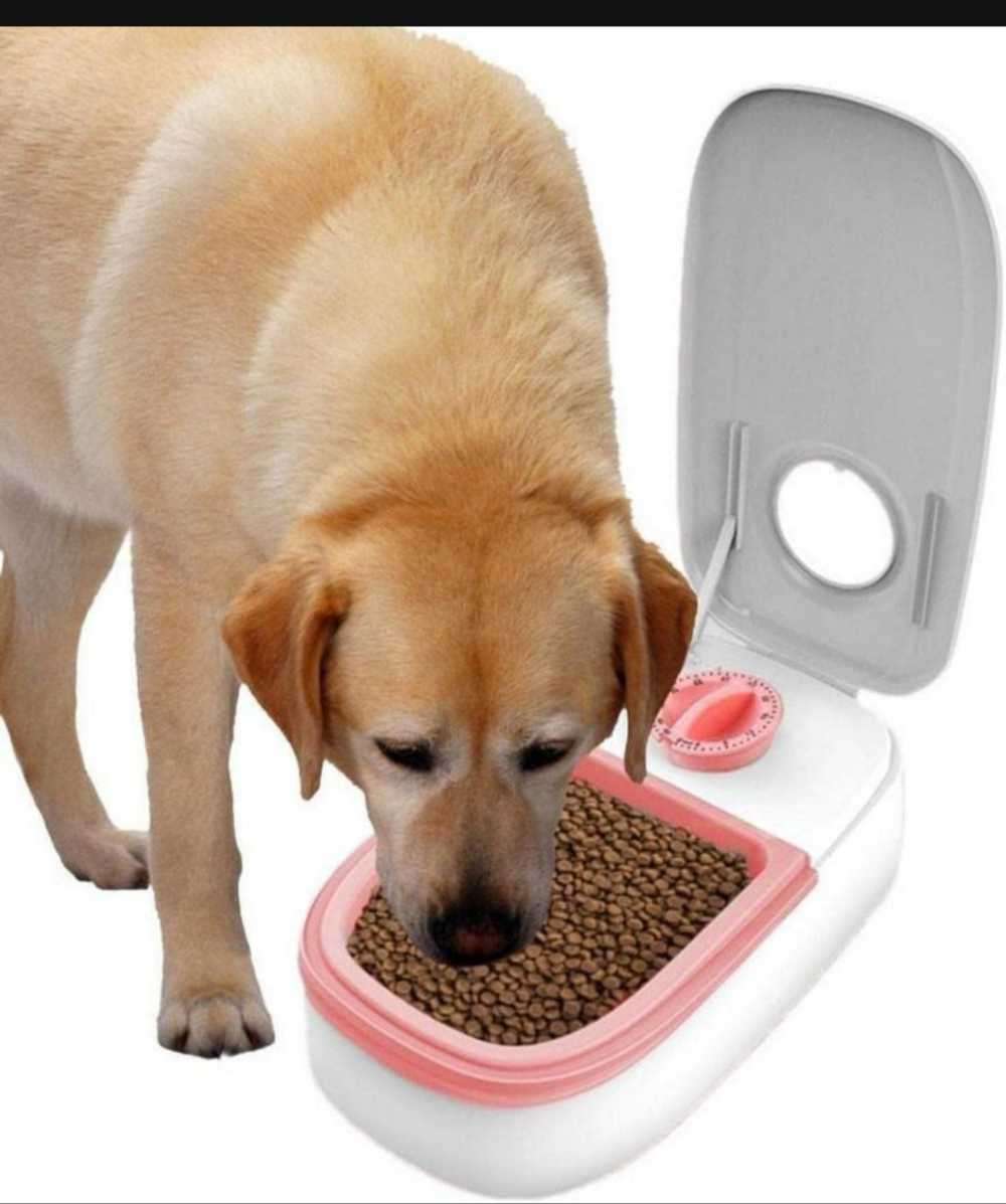 Automatic Timing Pet Feeder 350ml For Multiple Dogs & Cats