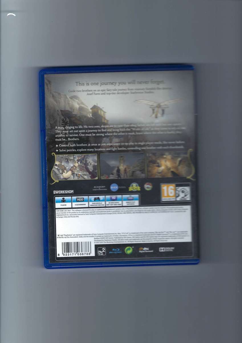 PlayStation 4: Brothers: A Tale of Two Sons