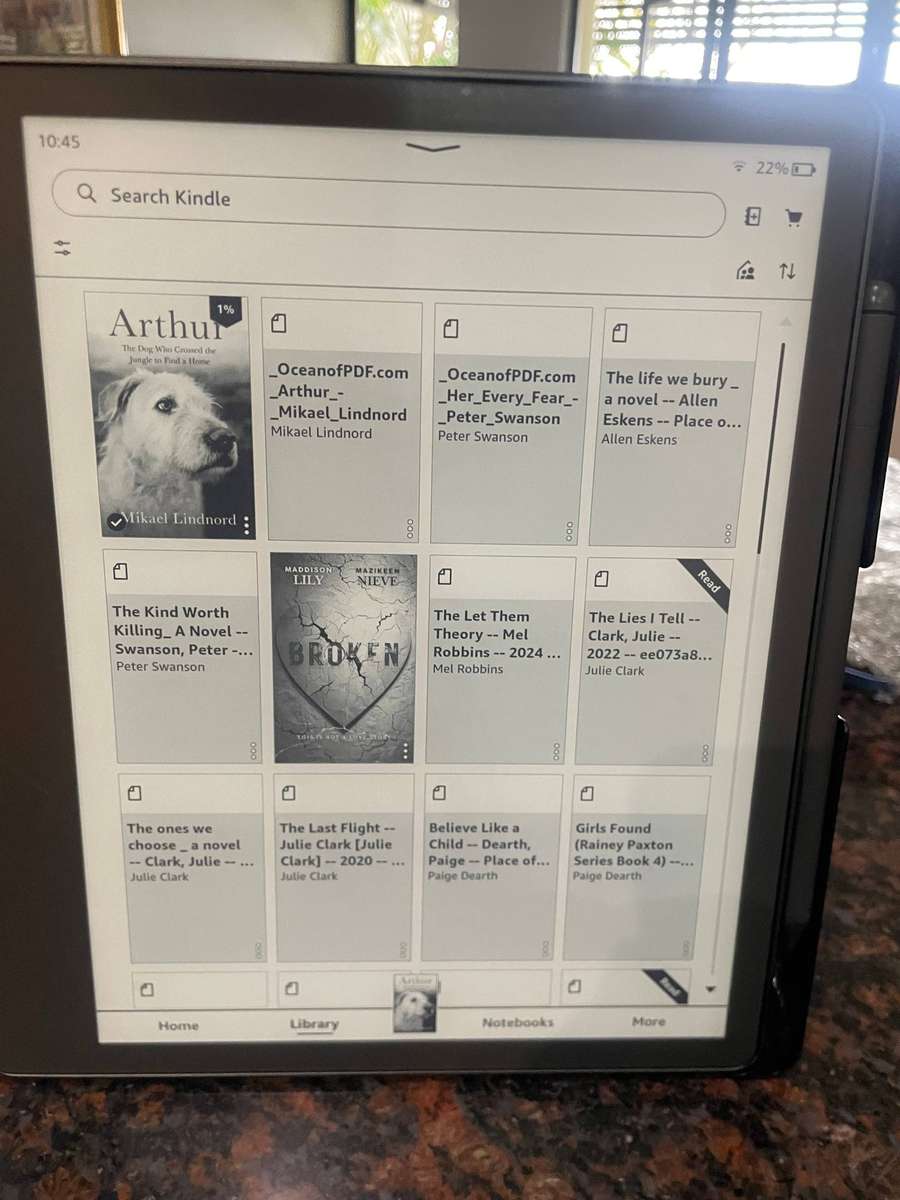 Kindle Scribe with Premium Pen (notebook & ereader)
