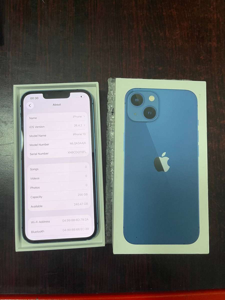 iPhone 13,256gb, 91%