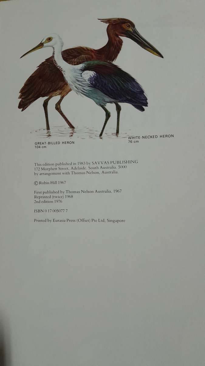 AUSTRALIAN BIRDS - By Robin Hill