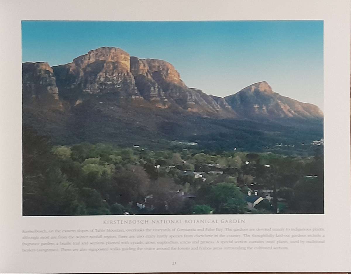 South Africa's Winelands of the Cape