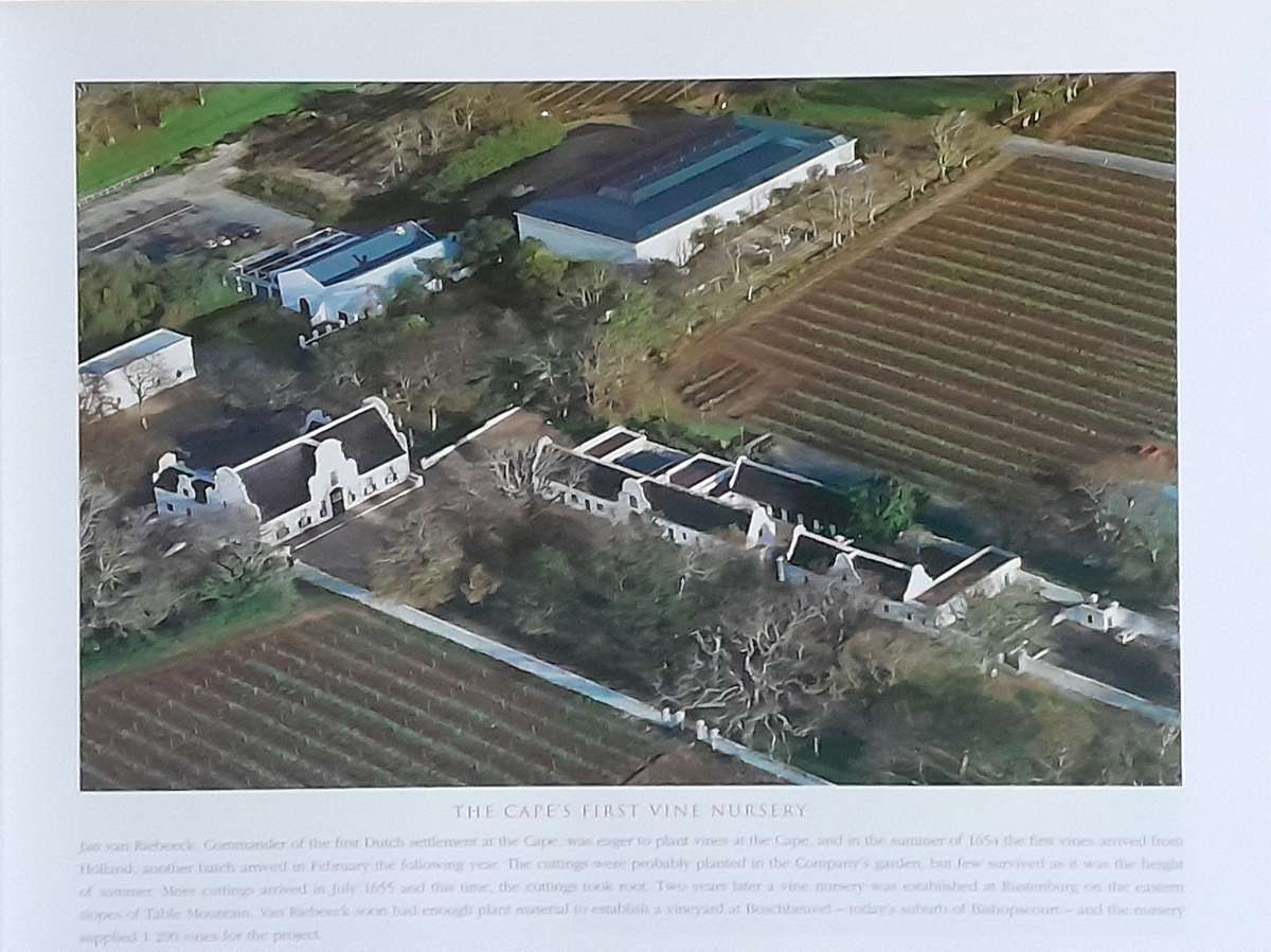 South Africa's Winelands of the Cape