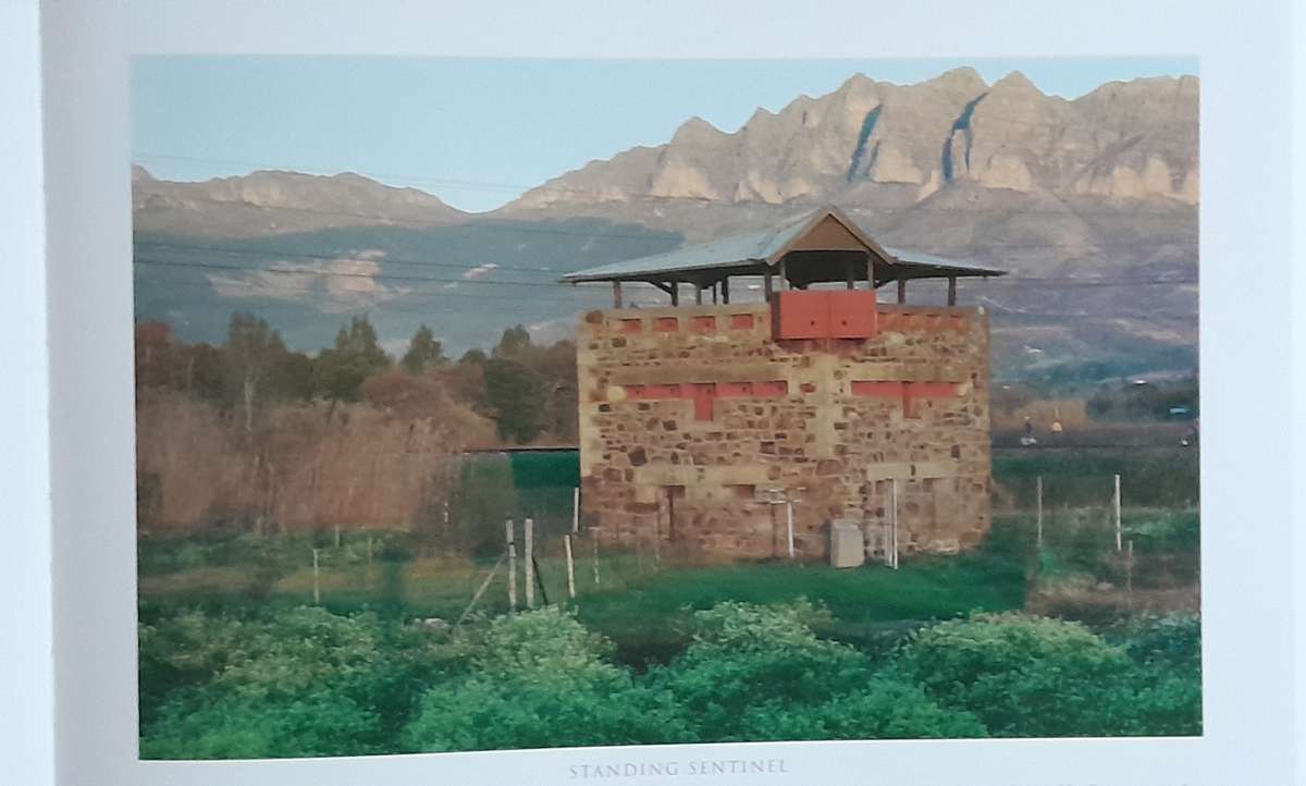 South Africa's Winelands of the Cape