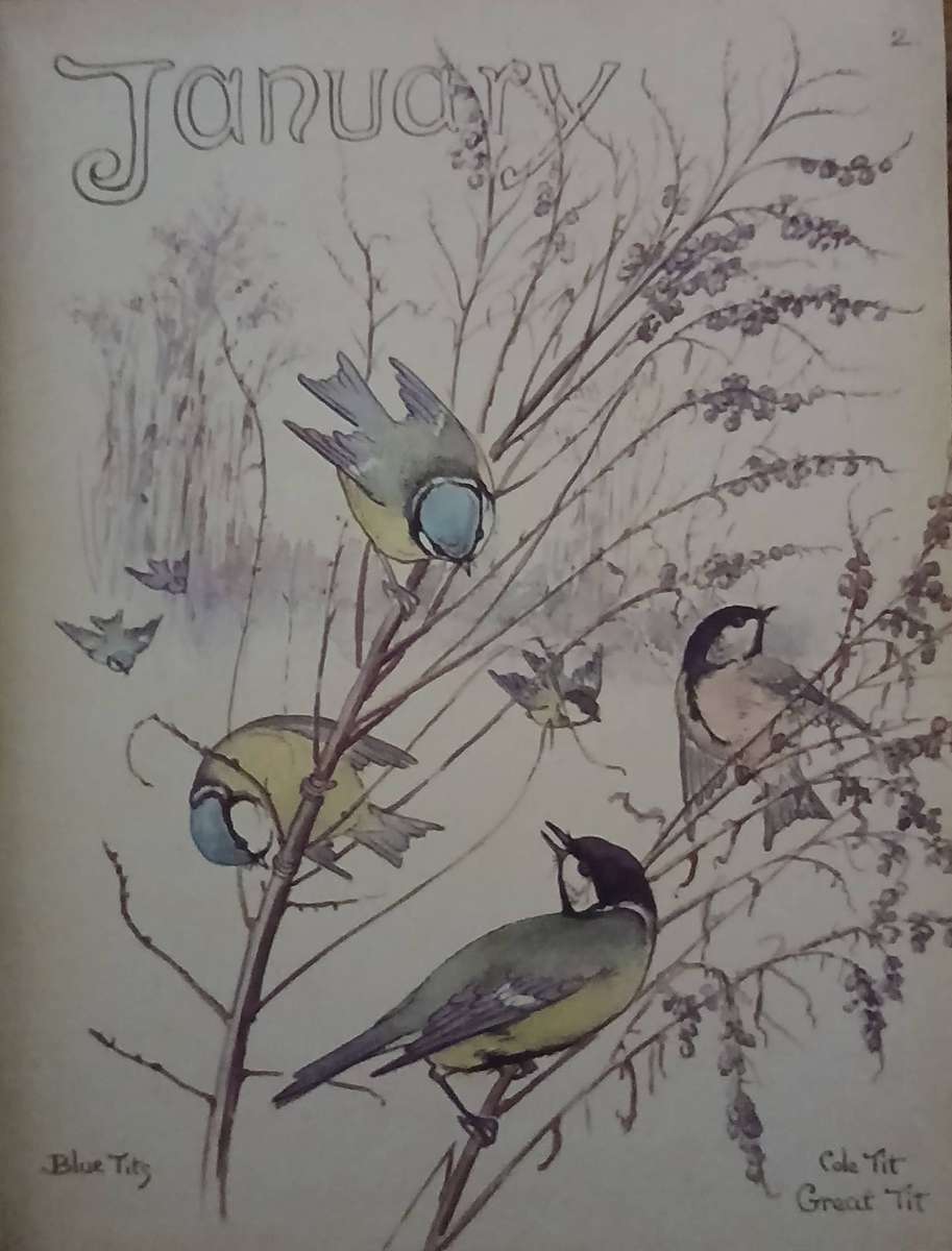 The Country Diary Of An Edwardian Lady