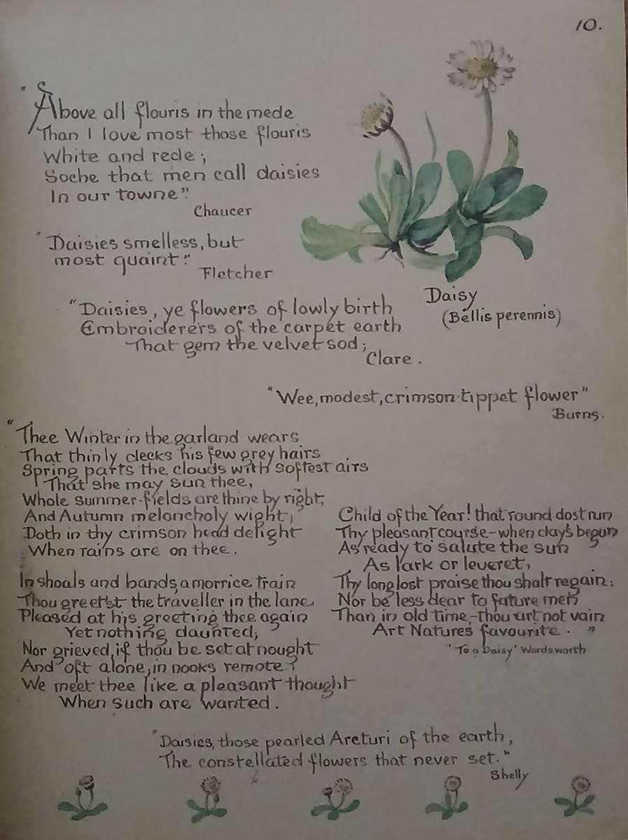 The Country Diary Of An Edwardian Lady